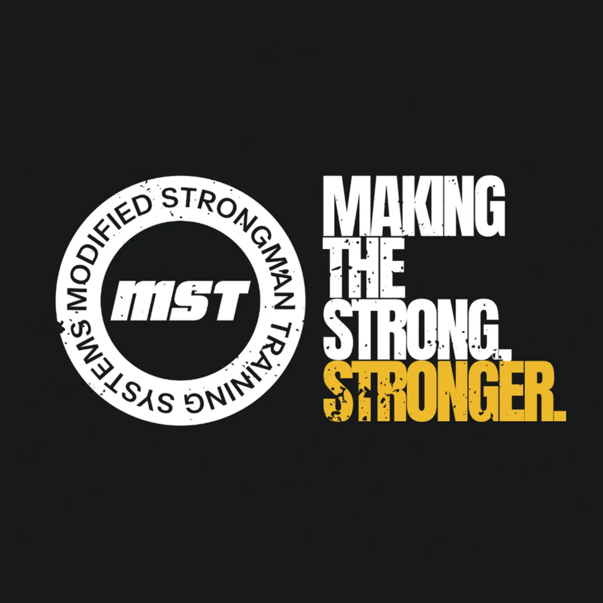 MST Systems — selected PulseFit project artwork