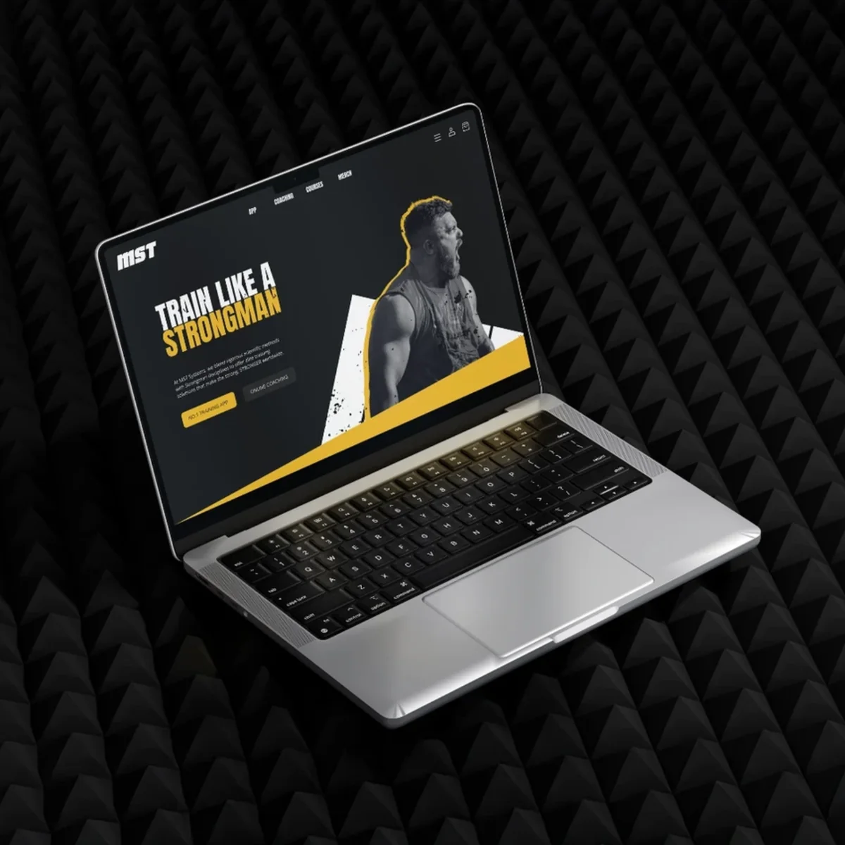 MST Systems website design on a laptop
